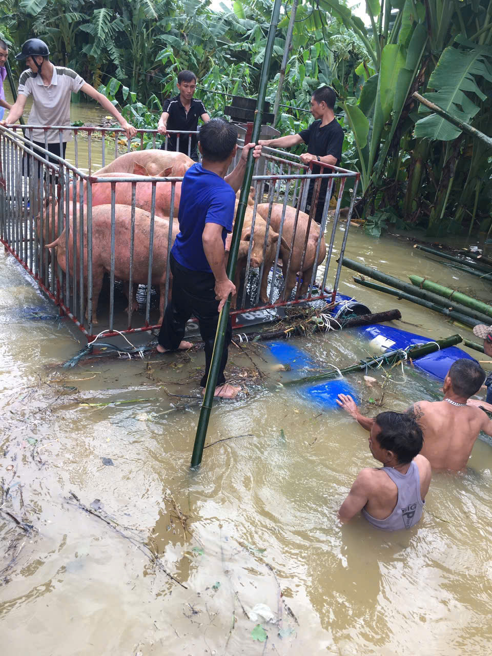 Xã Liên Hoa tập trung chỉ đạo công tác phòng, chống lụt bão và phối hợp với các xã tham gia xử lý những điểm xung yếu trên đê tại xã Phú Mỹ